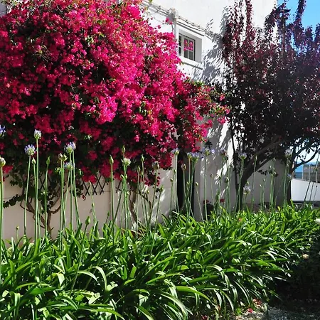 Joaninha Apartment